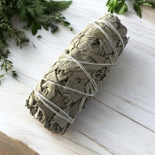 10cm White Sage Smudge