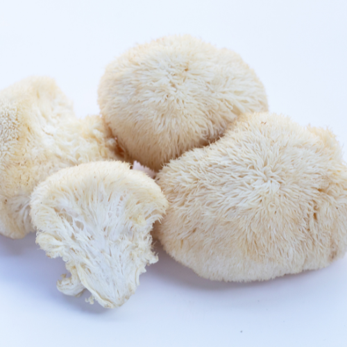 Organic Lions Mane Powder