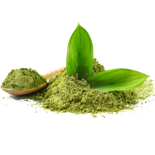 Choco Mint Matcha Latte